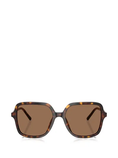 Dolce & Gabbana Oversized-frame Sunglasses In Brown
