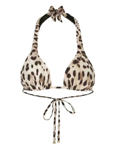 Dolce & Gabbana Padded Triangle Bikini Top In Animal Print