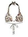 Dolce & Gabbana Leopard-print Triangle Bikini Top In Animal Print