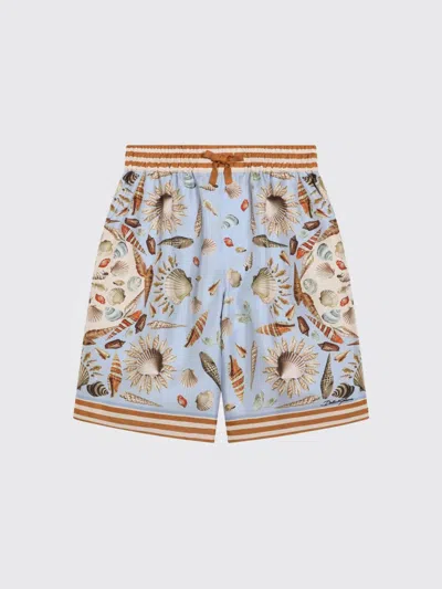 Dolce & Gabbana Shorts  Kids Color Blue In Multi
