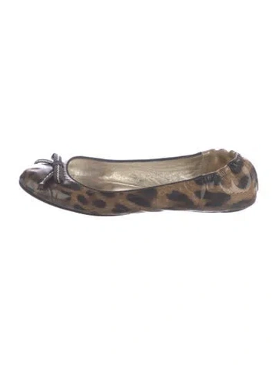 Pre-owned Dolce & Gabbana Patent Leather Animal Print Ballet Flats In Neutral