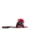 Dolce & Gabbana Rose Embellished Printed Flat Sandals In Black