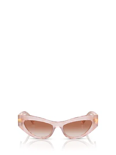 Dolce & Gabbana Pearlescent Cat-eye Frame Sunglasses