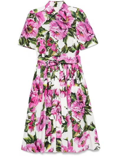DOLCE & GABBANA PEONY PRINT SHORT SLEEVED COTTON MIDI DRESS