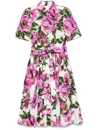 DOLCE & GABBANA PEONY PRINT SHORT SLEEVED COTTON MIDI DRESS