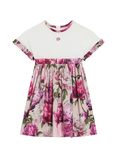 Dolce & Gabbana Peony-print Mix Material Dress In Multi