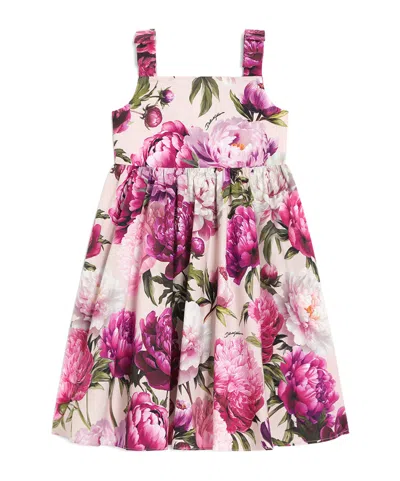 Dolce & Gabbana Peony-print Poplin Dress In Purple