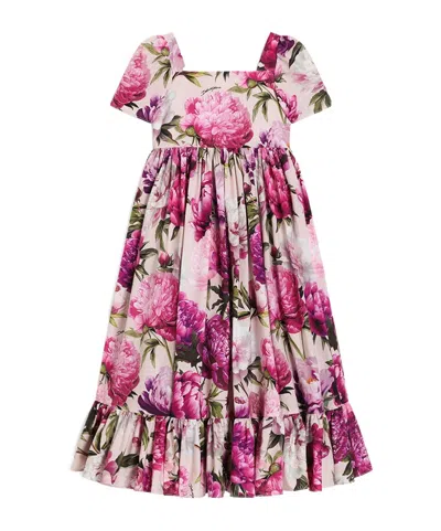 Dolce & Gabbana Kids Poplin Dress With Print In Multi