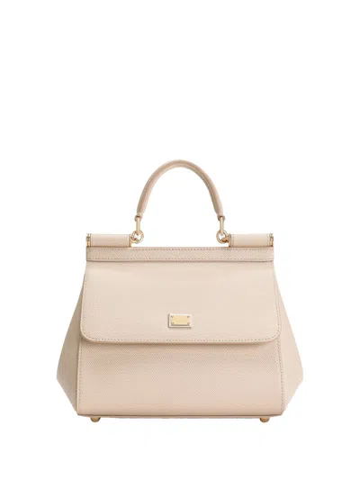 Dolce & Gabbana Borsa A Mano In Pink
