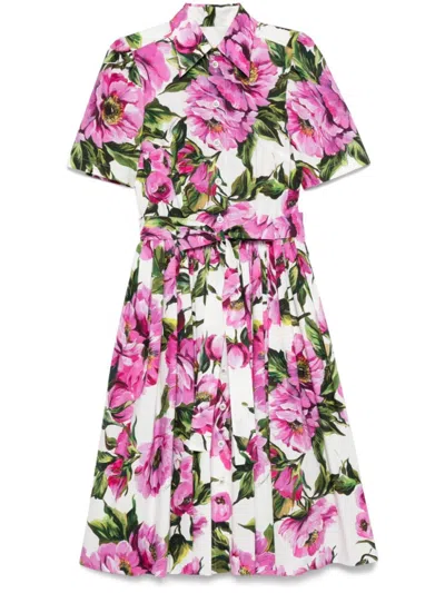 Dolce & Gabbana Pink Crewneck Dress