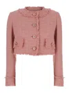 Dolce & Gabbana Pink Crop Jacket With Logoed Buttons In Cotton Tweed Woman In Pink
