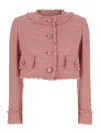 Dolce & Gabbana Pink Crop Jacket With Logoed Buttons In Cotton Tweed Woman In Pink