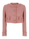 Dolce & Gabbana Pink Crop Jacket With Logoed Buttons In Cotton Tweed Woman In Pink