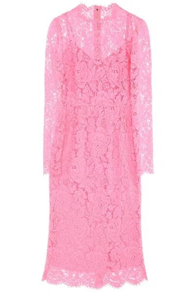 Dolce & Gabbana Lace Dress With Silk Petticoat In Pink