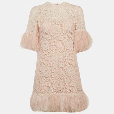 Pre-owned Dolce & Gabbana Pink Lace Feather Embellished Mini Dress S