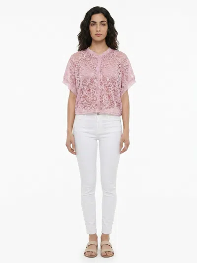 Dolce & Gabbana Lace Blouse In Pink