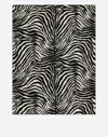 Dolce & Gabbana Wool And Silk Blanket In Multicolor