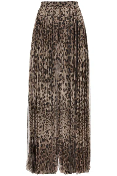 Dolce & Gabbana Leopard Print Wide Chiffon Pants In Brown