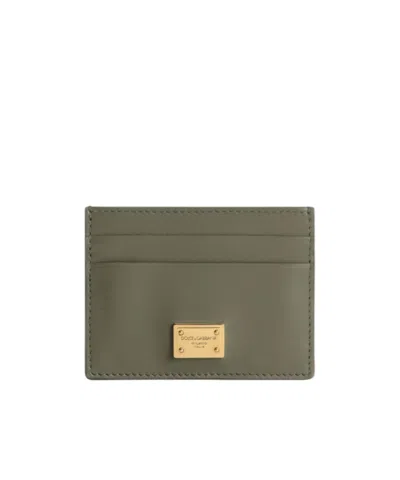 Dolce & Gabbana Plonge Calfskin Card Holder In Green