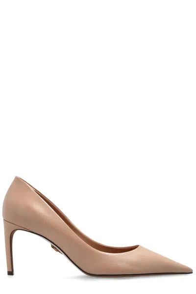 Dolce & Gabbana Pointed Toe Pumps In Pink