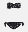 Dolce & Gabbana Polka-dot Bikini In Black