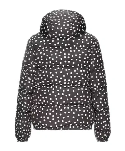 Dolce & Gabbana Polkadot Longsleeve Down Jacket In Black