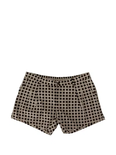 Dolce & Gabbana Polka-dot Shorts In Brown