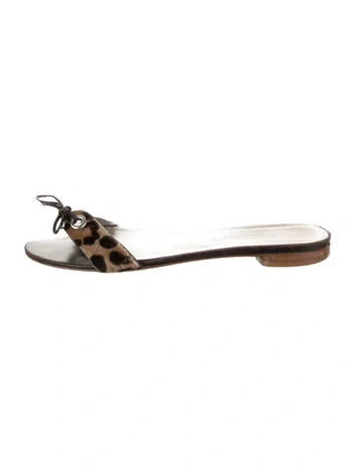 Pre-owned Dolce & Gabbana Ponyhair Animal Print Slides In Brown