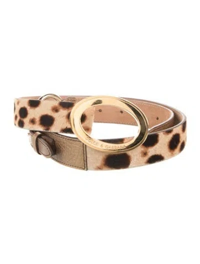 Pre-owned Dolce & Gabbana Ponyhair Fur Trim Belt In Brown