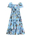 Dolce & Gabbana Poplin Dress With Butterfly Print In Blue