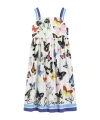 Dolce & Gabbana Poplin Dress With Butterfly Print In Multicolor