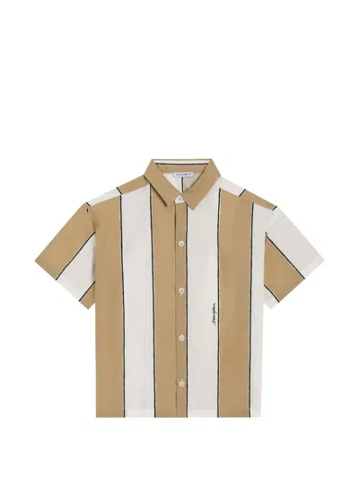 Dolce & Gabbana Kids' Poplin Shirt With Striped Print In Multi