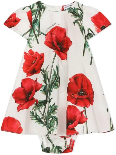 Dolce & Gabbana Babies' Poppy-print A-line Dress Set In Multicolor
