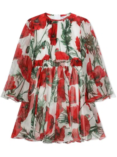 Dolce & Gabbana Kids' Poppy-print Smock Dress In Bianco