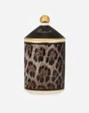 Dolce & Gabbana Candela Porcell.340g In Multicolor