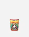 Dolce & Gabbana Porcelain Water Glass In Multicolor