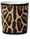 Dolce & Gabbana Porcelain Wine Glass In Brown