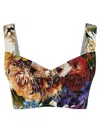 Dolce & Gabbana Bralette Mit Blumen-print In Multi