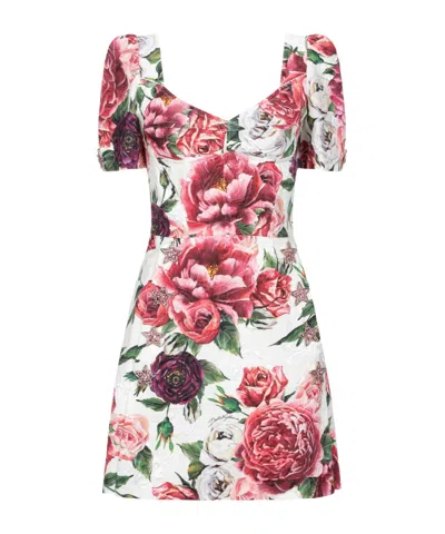 Dolce & Gabbana Printed A-line Skirt In Transparent