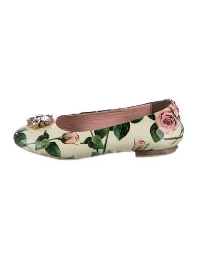Pre-owned Dolce & Gabbana Babies' Printed Ballet Flats In Neutrals/pink