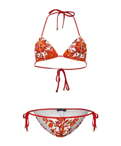 Dolce & Gabbana Printed Bikini In Multicolor