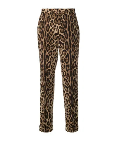 Dolce & Gabbana Printed Casual Pants In Brown