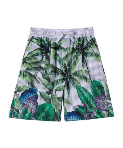 Dolce & Gabbana Printed Cotton Bermuda Shorts In Green