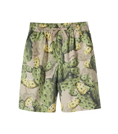 Dolce & Gabbana Kids' Printed Cotton Shorts In Multi