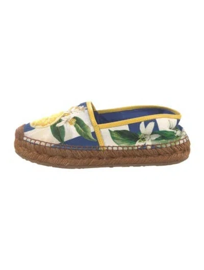Pre-owned Dolce & Gabbana Printed Espadrilles In Blue