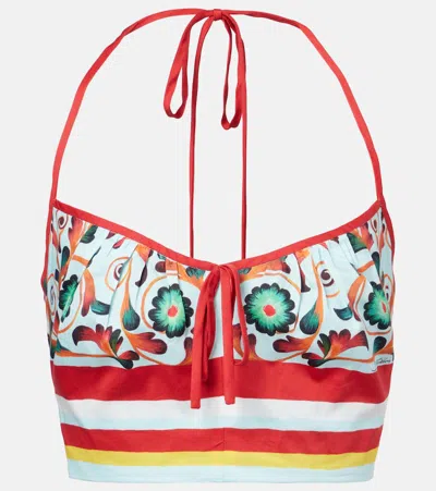 Dolce & Gabbana Printed Halterneck Cotton Crop Top In Multi