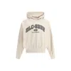 Dolce & Gabbana Hooded Sweatshirt In Jersey With Print In Brown