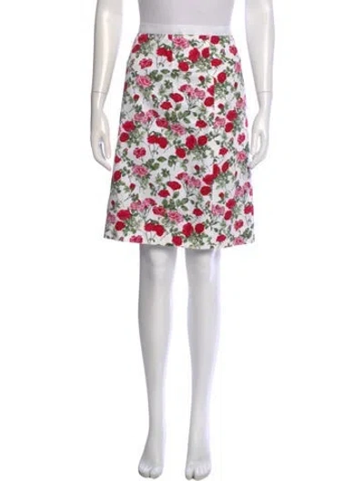Pre-owned Dolce & Gabbana Printed Knee-length Skirt In Blue