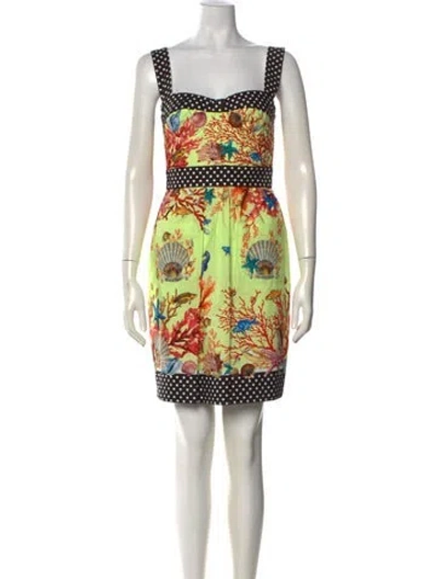 Pre-owned Dolce & Gabbana Printed Mini Dress In Green