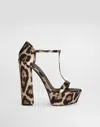 Dolce & Gabbana Keira Leopard Satin T-strap Platform Sandals In Print